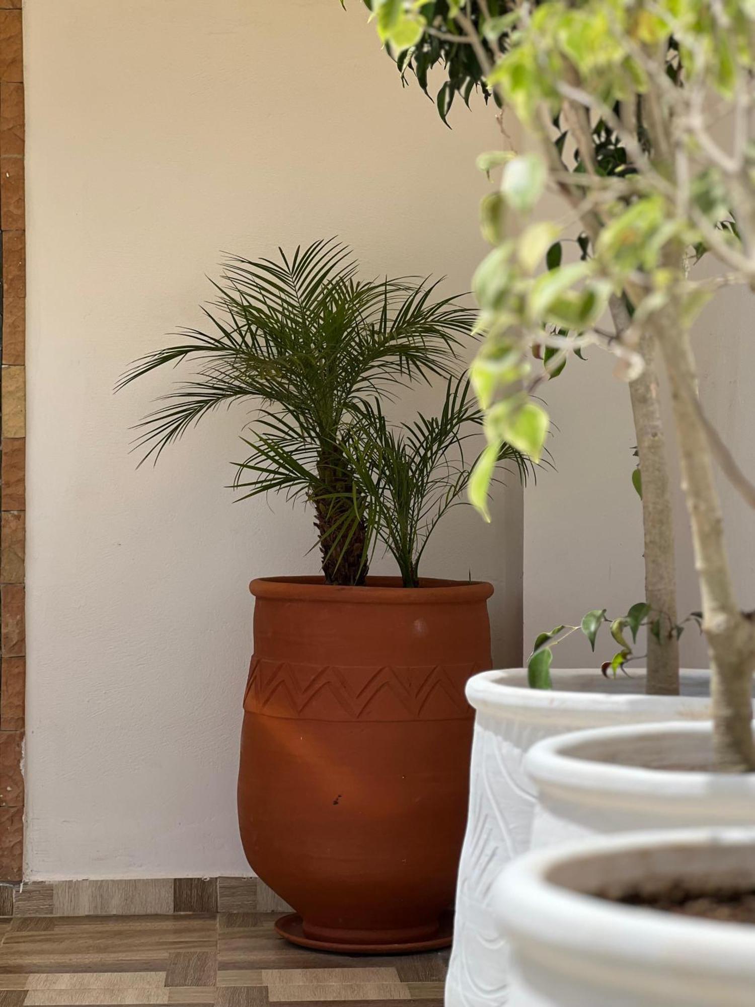 Riad Safia Rabat Exteriör bild